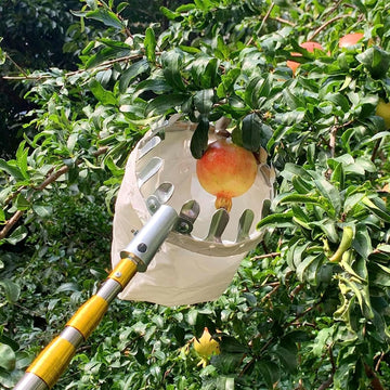 Fruit Picker